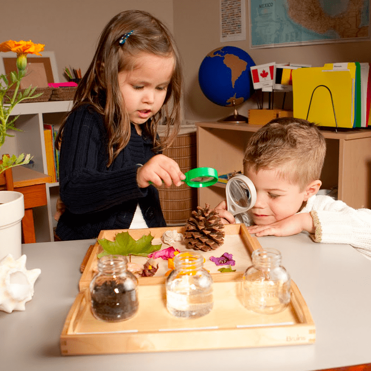 Come organizzare il tavolo della natura Montessoriano