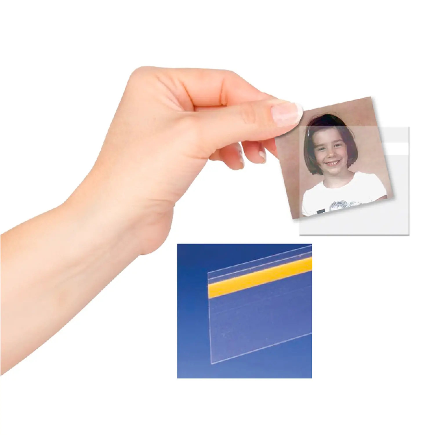 Portafoto Trasparente Giodicart – Pratico e Versatile per Scuola e Casa - Cancelleria varia