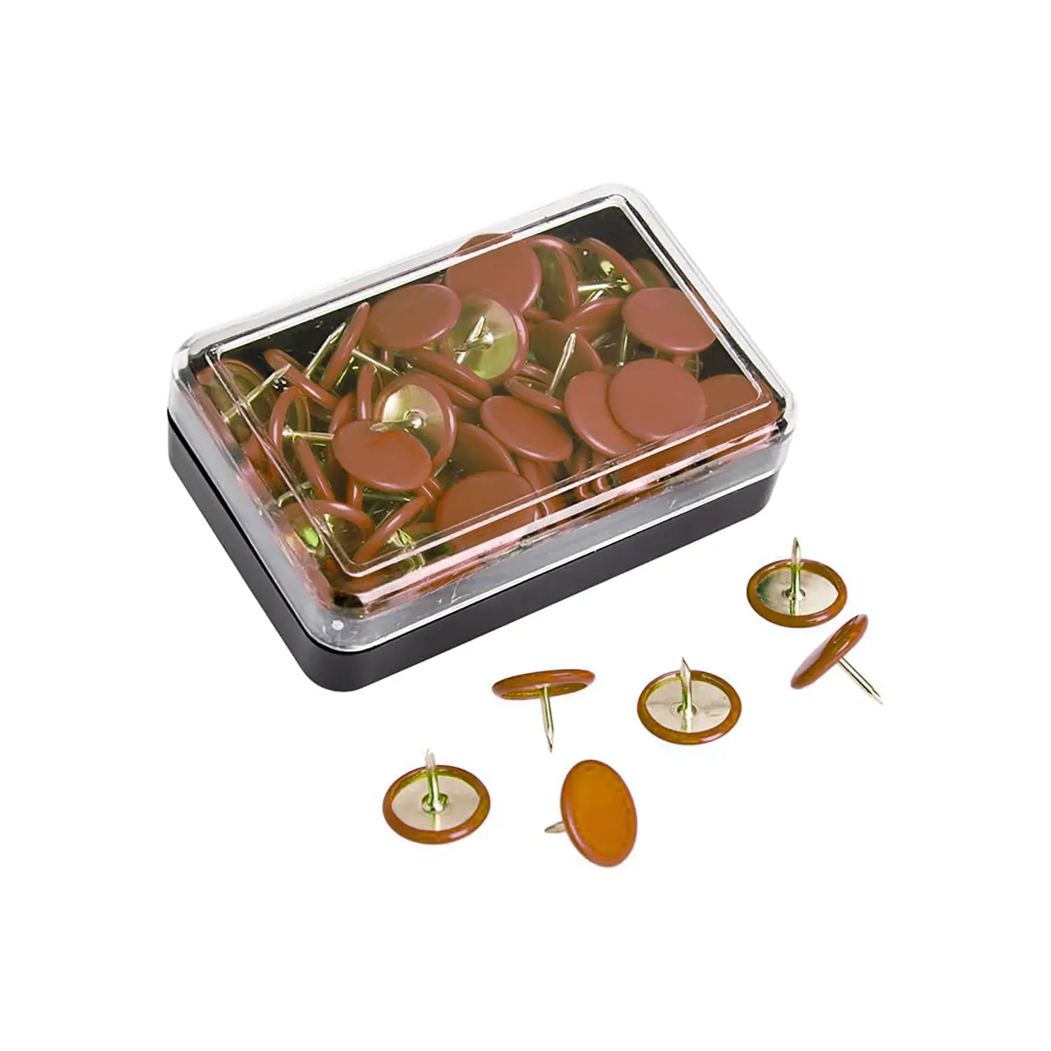 Puntine Marrone – Confezione da 50 Pezzi - Cancelleria varia