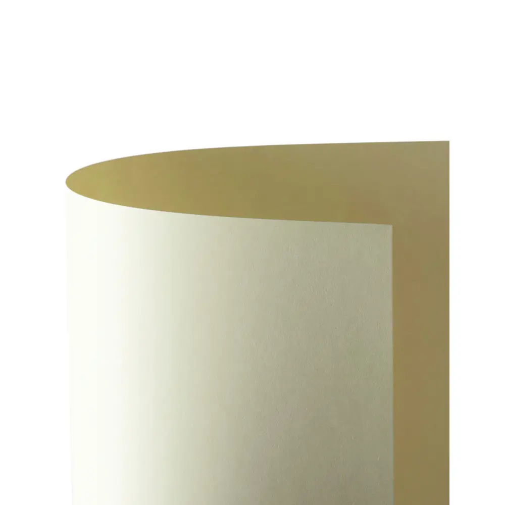 Cartoncino Bristol Liscio 200 gr - 25 Fogli 50x70 cm - Avorio - Carta e cartoncino