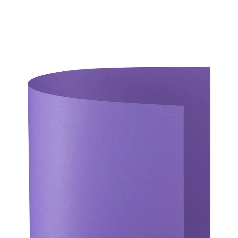 Cartoncino Bristol Liscio 200 gr - 10 Fogli 70x100 cm - Violetto - Carta e cartoncino