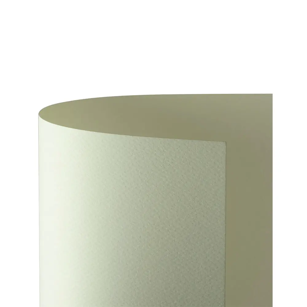 Cartoncino Prisma Monoruvido 220 gr - 20 Fogli 50x70 cm - Avorio - Carta e cartoncino
