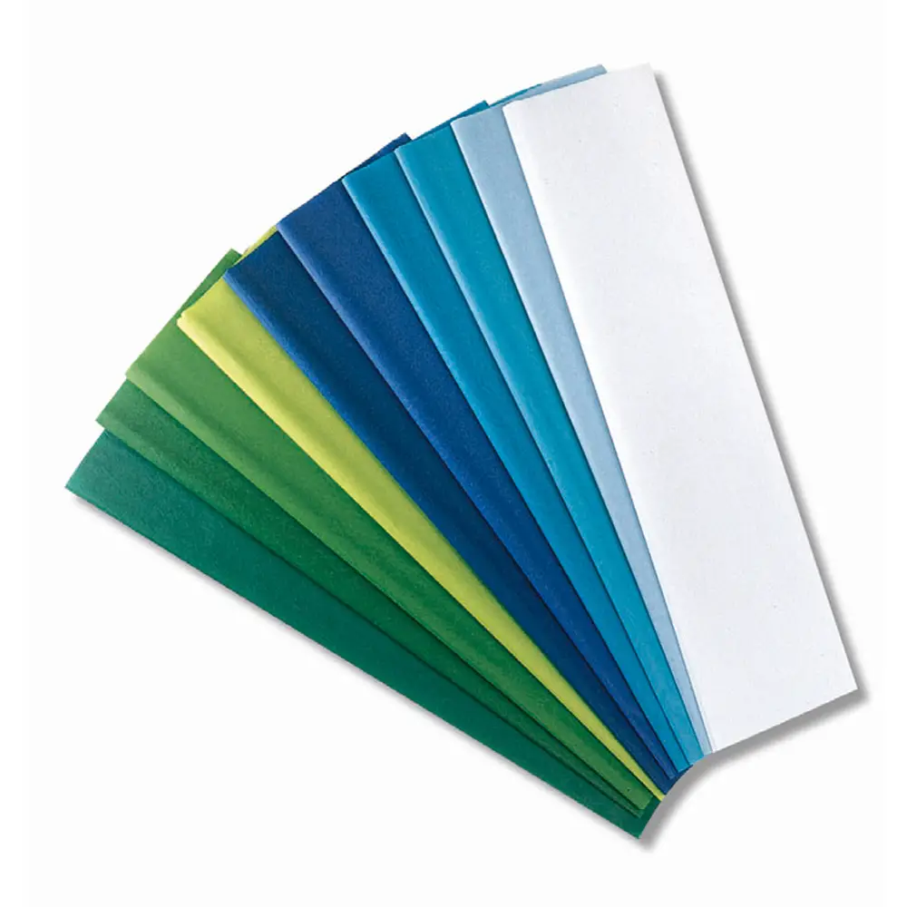 Carta Velina Giodikrea 50x70 – 20 Fogli in 10 Tinte Fredde - Carta e cartoncino