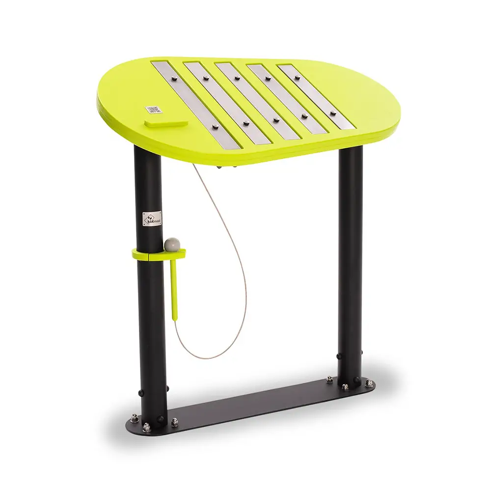 Xilofono Beethoven per Esterni – Strumento Musicale da Gioco per Bambini - Palestrine