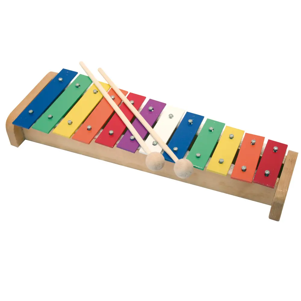 Metallofono Facilitato 12 Note per Bambini, Piastre Colorate - Educazione musicale