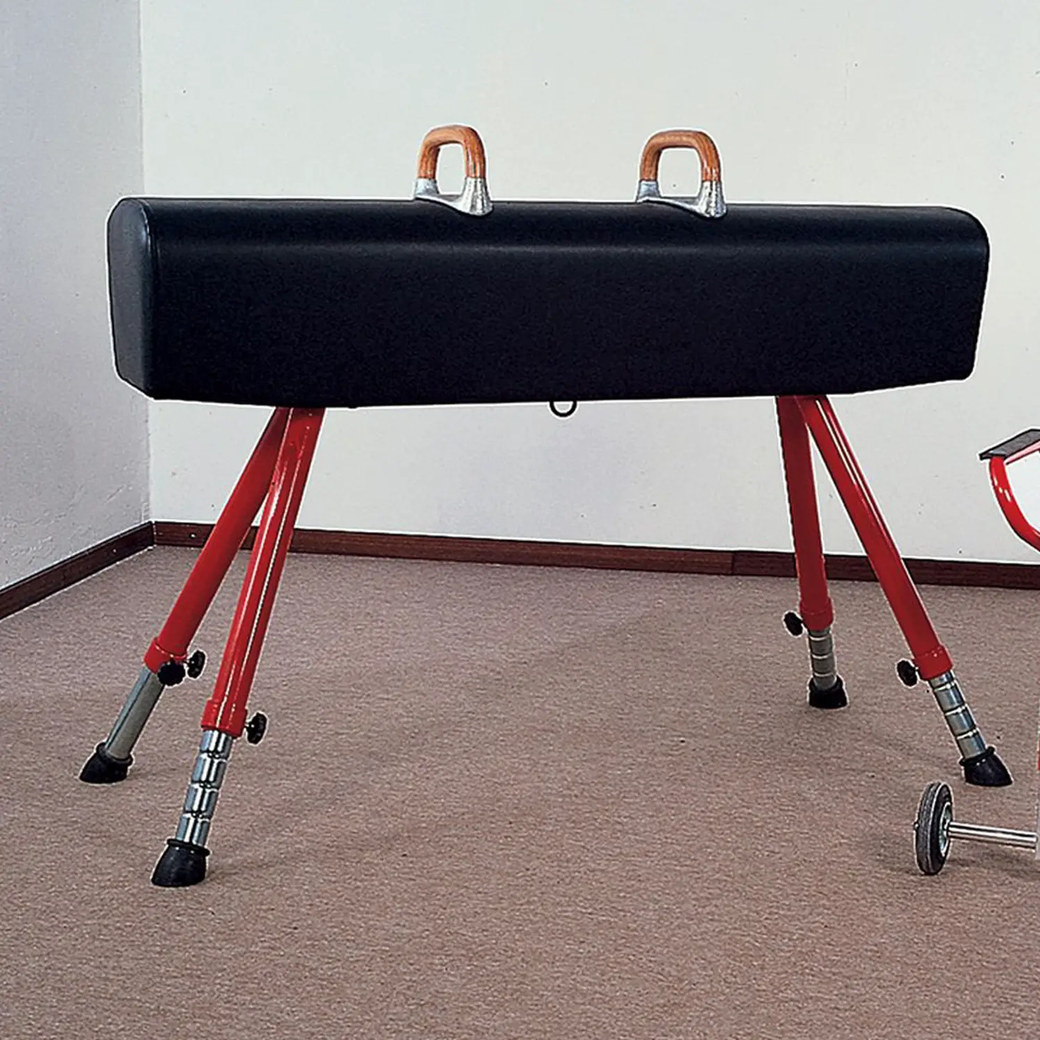 Cavallo Per Volteggi Senza Maniglie In Cuoio Sintetico - Attrezzature sportive