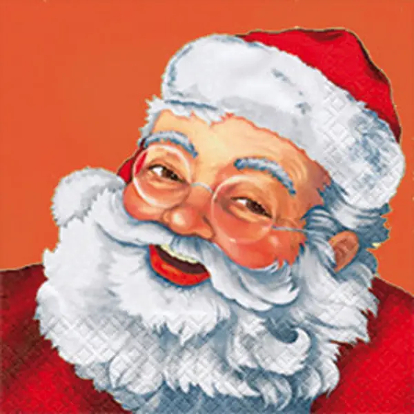 Tovaglioli Decorati per Decoupage Babbo Natale - 20 Pezzi (16,5x16,5 cm) - Carta e cartoncino