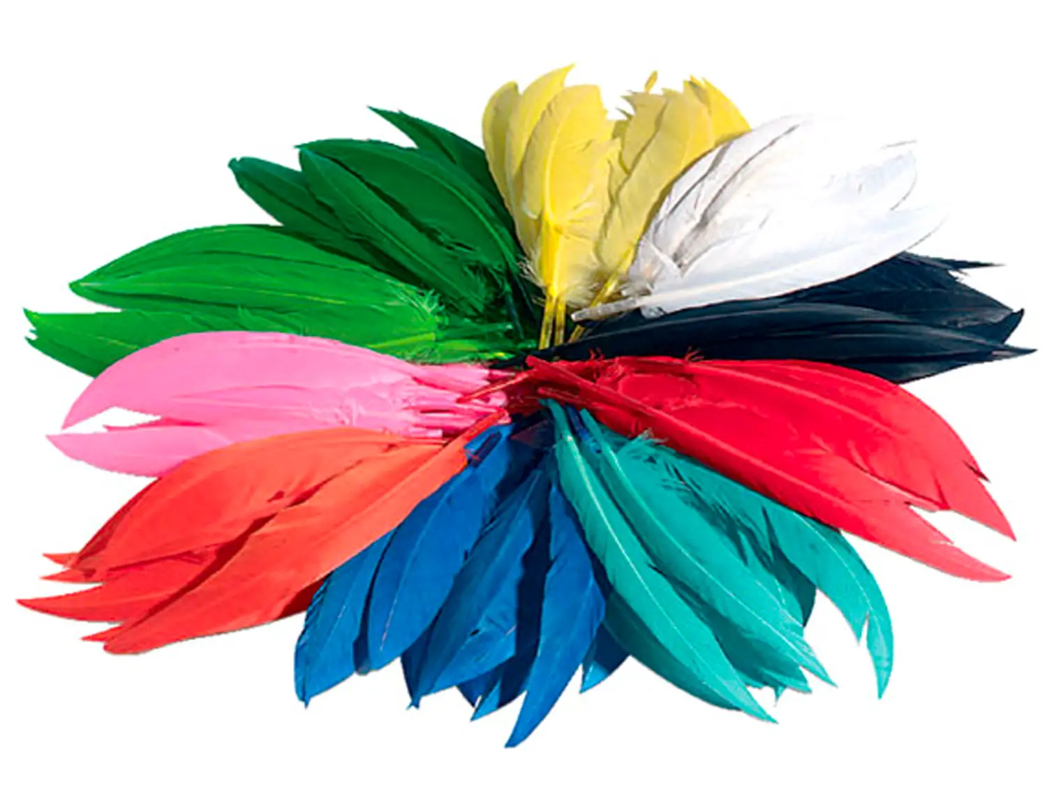 Piume Giganti Colorate – Set 10 Piume Vere 30 cm - Applicazioni e decori