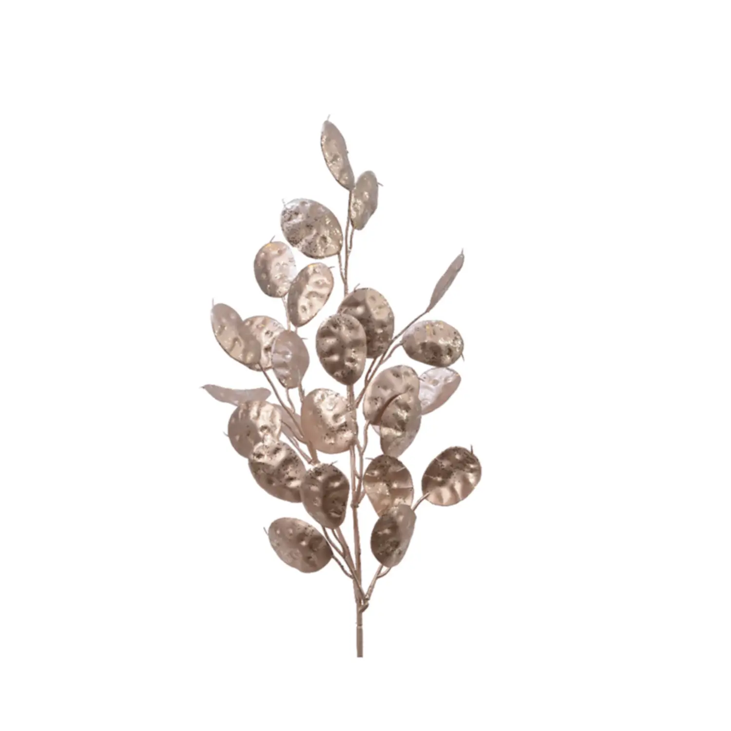 Ramo Decorativo Silver Dollar Champagne – Eleganza e Raffinatezza - fiori e ghirlande