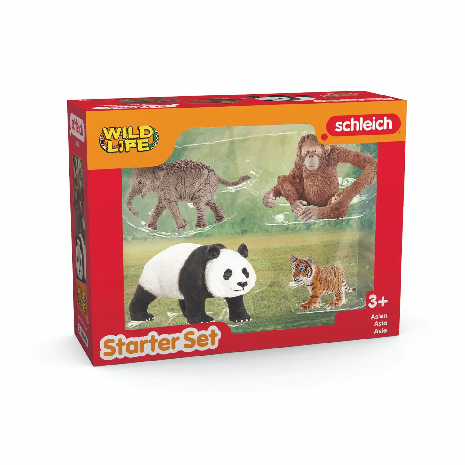 Schleich Wild Life Asia Starter Set - Animali