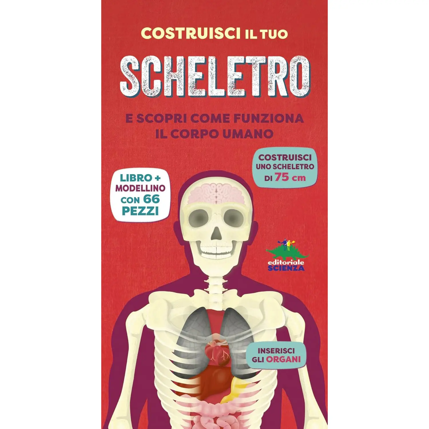 Libro Costruisci Il Tuo Scheletro Con Modellino Da Costruire - Prima biblioteca