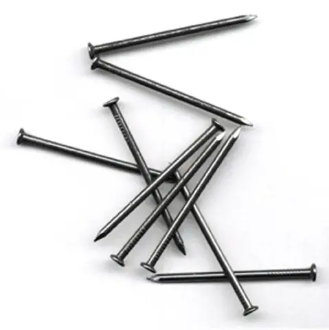 Chiodini a Testa Piatta 2 cm – 100 Grammi