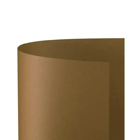Bristol Board Smooth 200gr. 50x70 25 Ff Cocoa