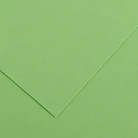 Vivaldi Canson Cardboard 185 Gmq 50 Sheets A3 Apple Green