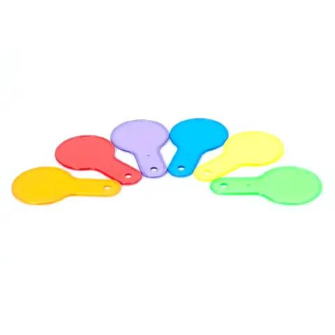 Palette Traslucide per la Formazione dei Colori – 6 Pezzi