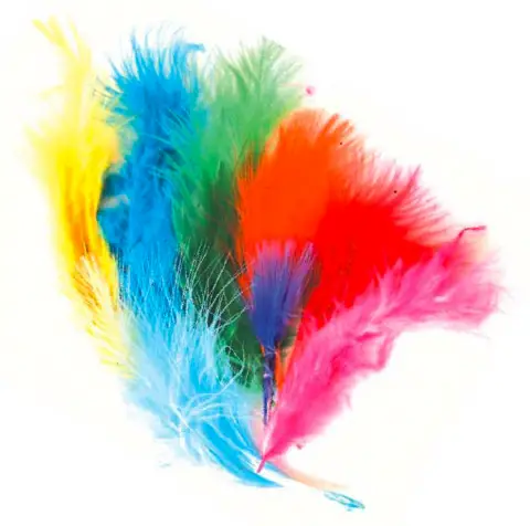 Assorted Soft Feathers 5/15cm. 50 Pieces