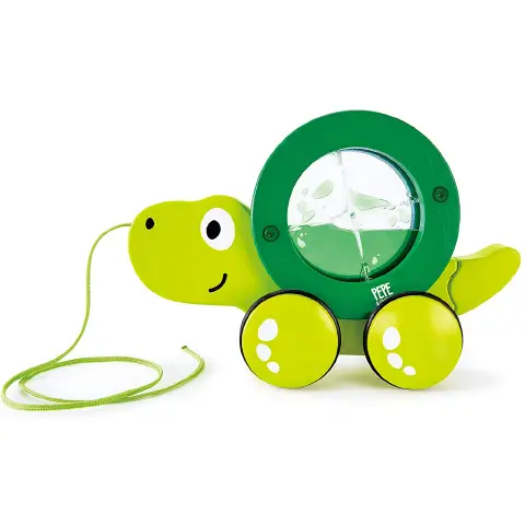 Trainable Turtle