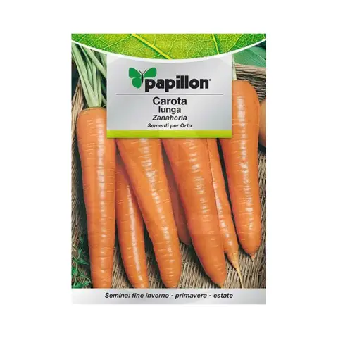 Seeds for Vegetable Garden: Carrot