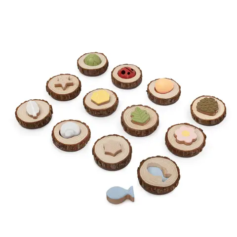 Gioco di Associazione Tattile - Fiori, Pigne, Coccinelle e Pesciolini