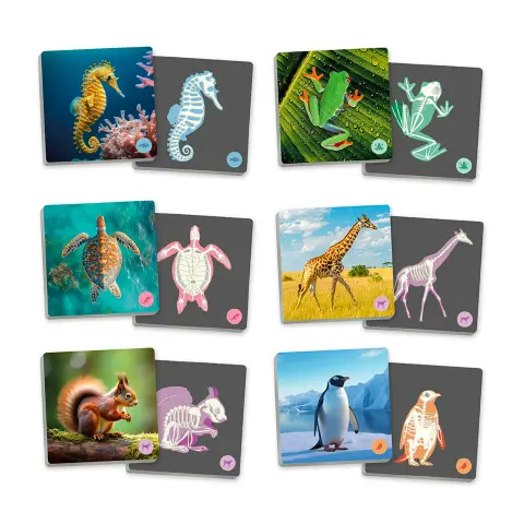 Maxi Memory Animali Vertebrati e Loro Scheletro, Gioco Educativo per Bambini