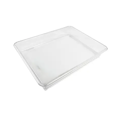 Vaschetta Trasparente per Pannello Luminoso A2
