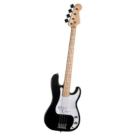 Electric Acoustic Bass Guitar