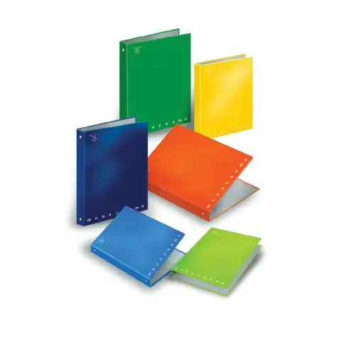 A4 Pigna Monochrome Ring Binder