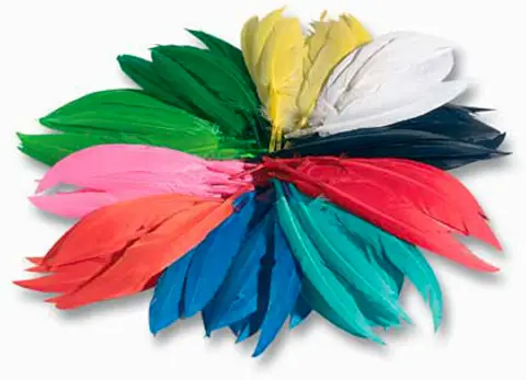 Indian feathers 12/20cm. 100gr