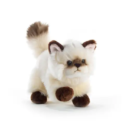 Thaytoo Cat Plush 21 cm.