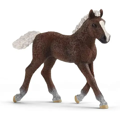 Schleich Black Forest Foal