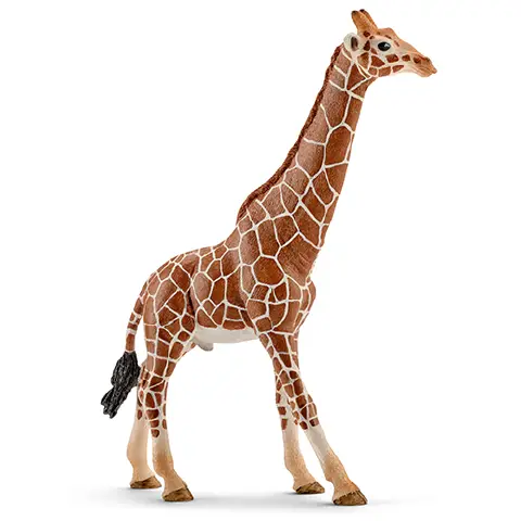 Schleich Male Giraffe
