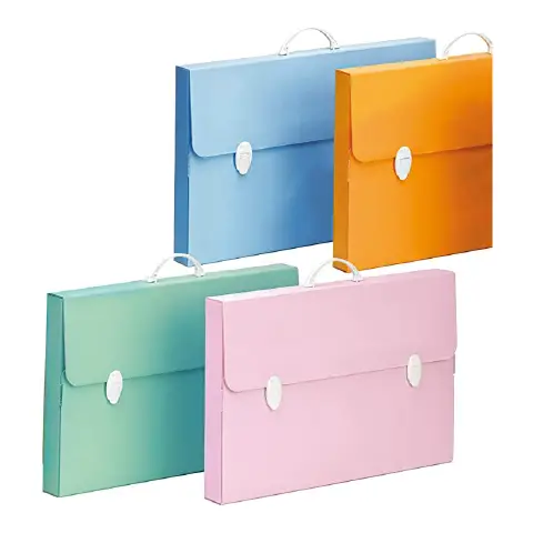 Polionda case Every Line Pastel 2closures Assorted Colors cm. 36.5x56.5 Back 5.5 cm.