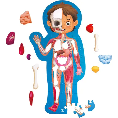 Children's Human Body Puzzle 61 Wooden Tiles with Poster