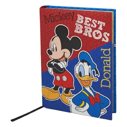 Mickey Diary Standard 2