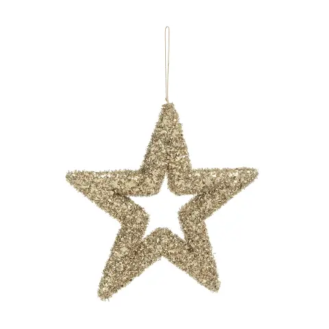 Angelica Pendant Star Champagne M