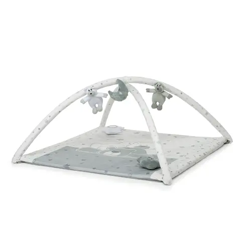 Dolcestella Toy Carpet Trainer Gymnasium