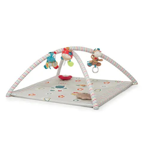 Toy Carpet Trainer Gymnasium Circus