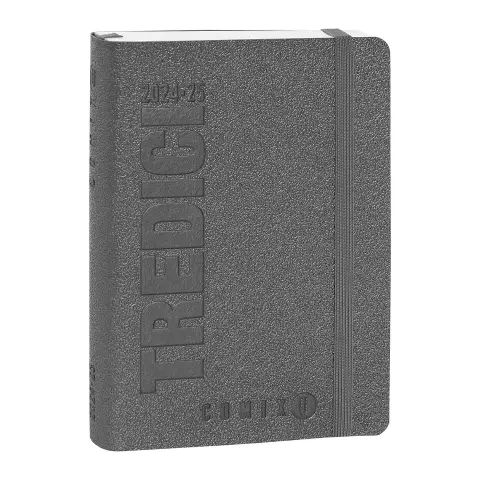 Comix U Yourself School Diary 13 Months Day Mini Metallic Grey