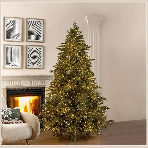 Silver Pine Christmas Tree 5,000 Miniled 240x166 Cm