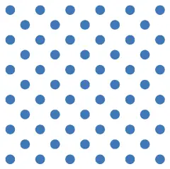 Blue/White Polka Dot Cardstock cm. 50x70 300 gsm