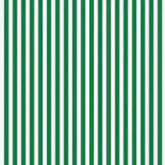 Cartoncino Rigato Verde/Bianco 300 gr/mq – Formato 50x70 cm – Carta Creativa
