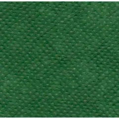 Tessuto Non Tessuto in Rotolo – 80 cm x 10 m - Verde
