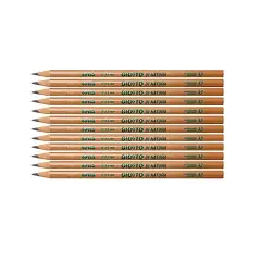 Brown Nature Giotto Crayons