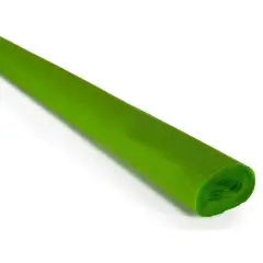 CARTA CRESPA PREMIUM EXTRA - VERDE CHIARO