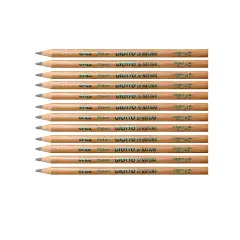 Silver Nature Giotto Crayons