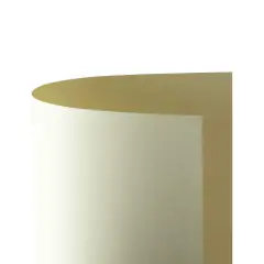 Cartoncino Bristol Liscio 200 gr - 10 Fogli 70x100 cm - Avorio