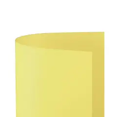 Cartoncino Bristol Liscio 200 gr - 10 Fogli 70x100 cm - Giallo Chiaro