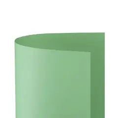 Cartoncino Bristol Liscio 200 gr - 10 Fogli 70x100 cm - Verde Chiaro