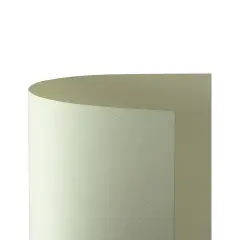 Cartoncino Prisma Monoruvido 220 gr - 10 Fogli 70x100 cm - Avorio