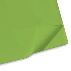 Carta Velina Giodicrea 50x70 24ff Verde Prato - Alta Qualità